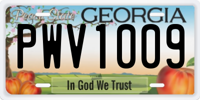 GA license plate PWV1009