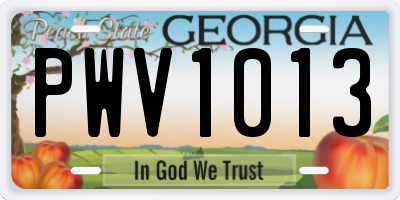 GA license plate PWV1013