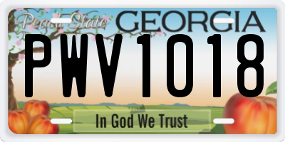 GA license plate PWV1018