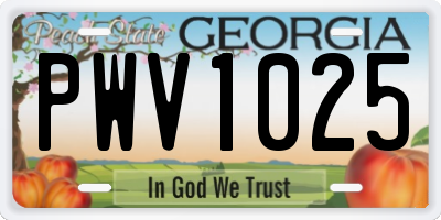 GA license plate PWV1025