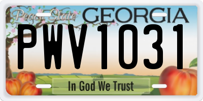 GA license plate PWV1031