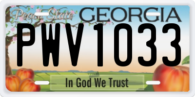 GA license plate PWV1033