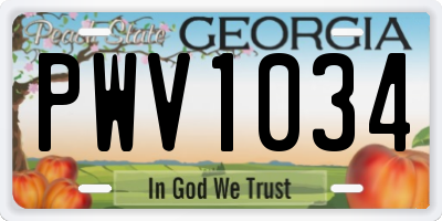 GA license plate PWV1034
