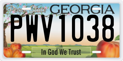 GA license plate PWV1038