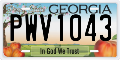 GA license plate PWV1043