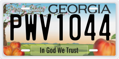 GA license plate PWV1044