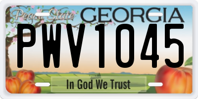 GA license plate PWV1045