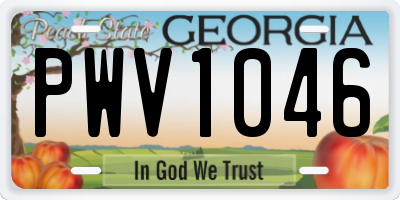 GA license plate PWV1046