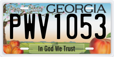 GA license plate PWV1053