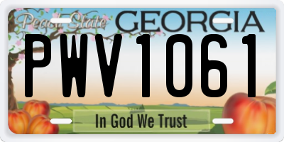 GA license plate PWV1061