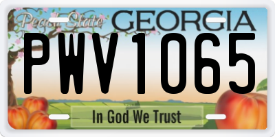GA license plate PWV1065