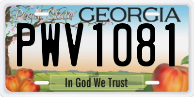 GA license plate PWV1081