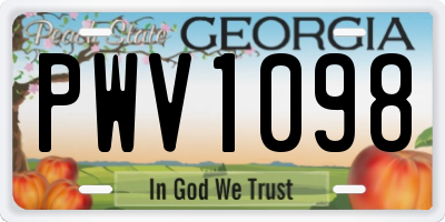 GA license plate PWV1098