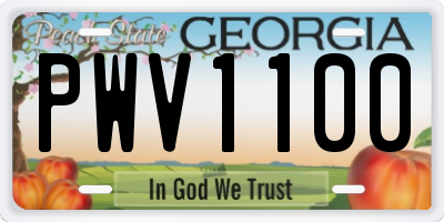 GA license plate PWV1100
