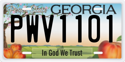 GA license plate PWV1101