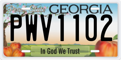 GA license plate PWV1102