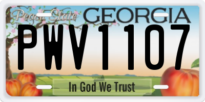 GA license plate PWV1107