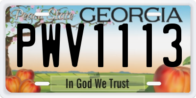 GA license plate PWV1113