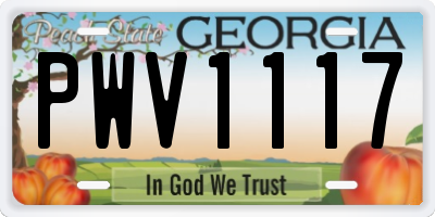GA license plate PWV1117