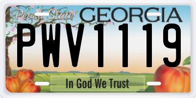 GA license plate PWV1119