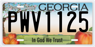 GA license plate PWV1125