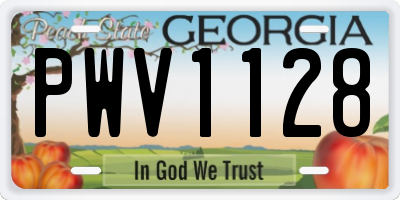 GA license plate PWV1128
