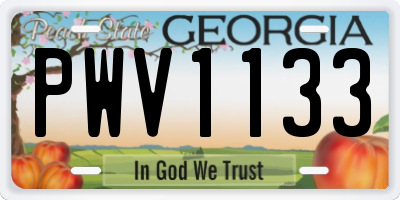 GA license plate PWV1133