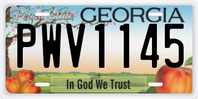 GA license plate PWV1145