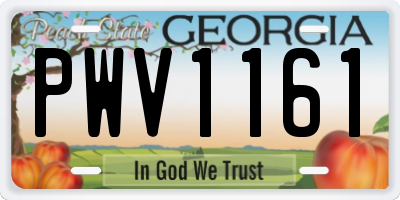 GA license plate PWV1161