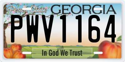 GA license plate PWV1164