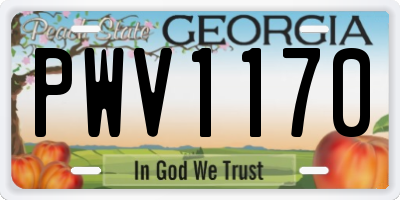 GA license plate PWV1170