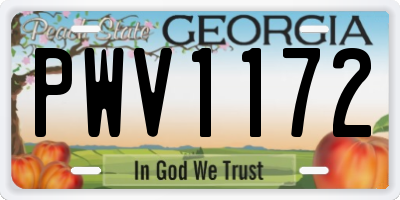 GA license plate PWV1172