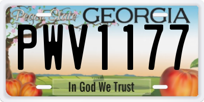 GA license plate PWV1177