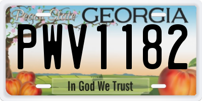 GA license plate PWV1182