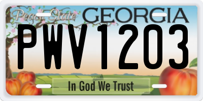 GA license plate PWV1203