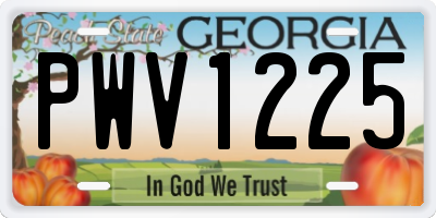 GA license plate PWV1225