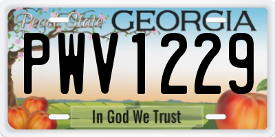 GA license plate PWV1229