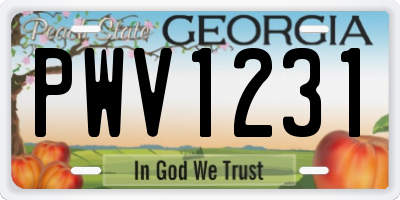 GA license plate PWV1231
