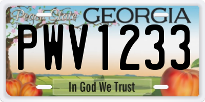 GA license plate PWV1233