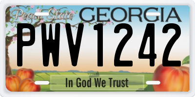 GA license plate PWV1242