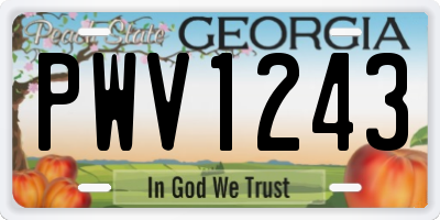 GA license plate PWV1243