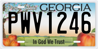 GA license plate PWV1246
