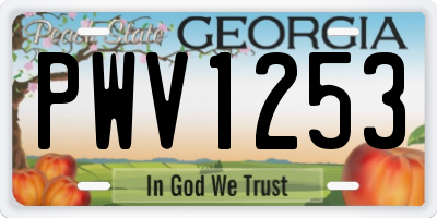 GA license plate PWV1253