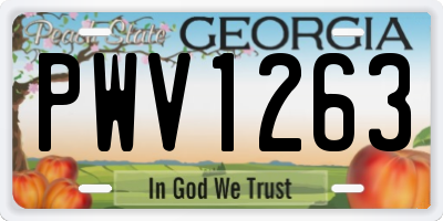 GA license plate PWV1263