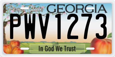 GA license plate PWV1273