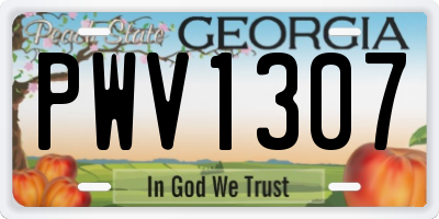 GA license plate PWV1307