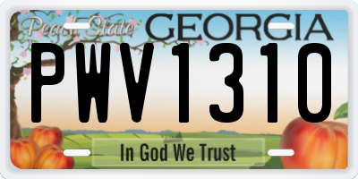 GA license plate PWV1310