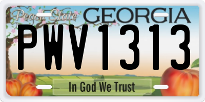 GA license plate PWV1313