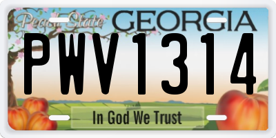 GA license plate PWV1314