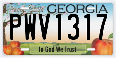 GA license plate PWV1317